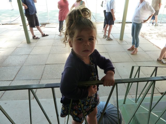 P1000795 [1600x1200]